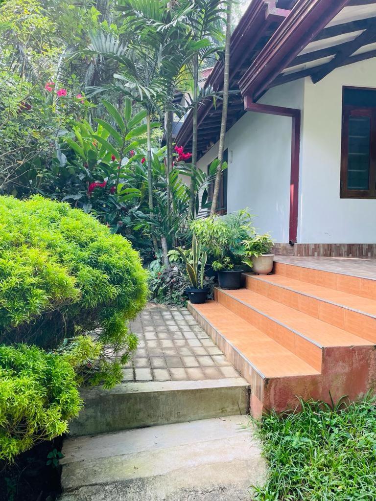 Chami'S Home Stay Mirissa Extérieur photo