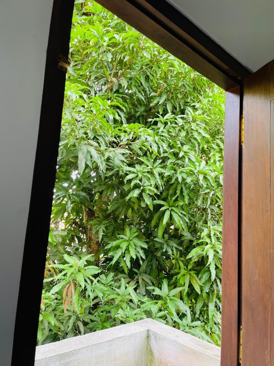 Chami'S Home Stay Mirissa Extérieur photo